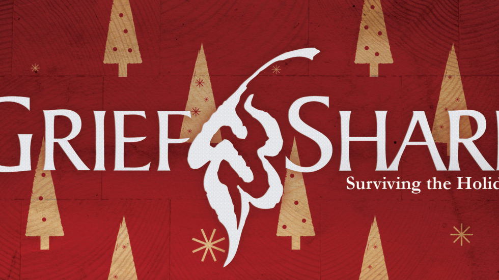 SurvivingtheHolidaysBanner